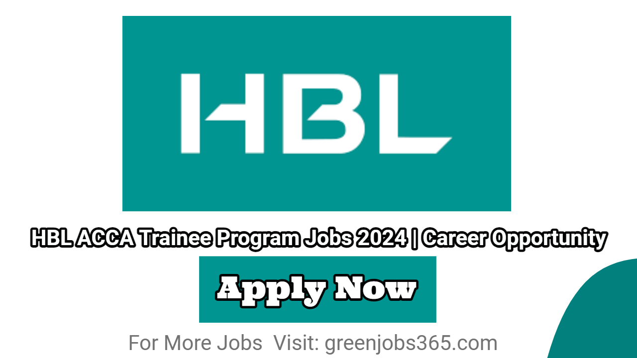 Hbl Acca Trainee Program Jobs Career Opportunity