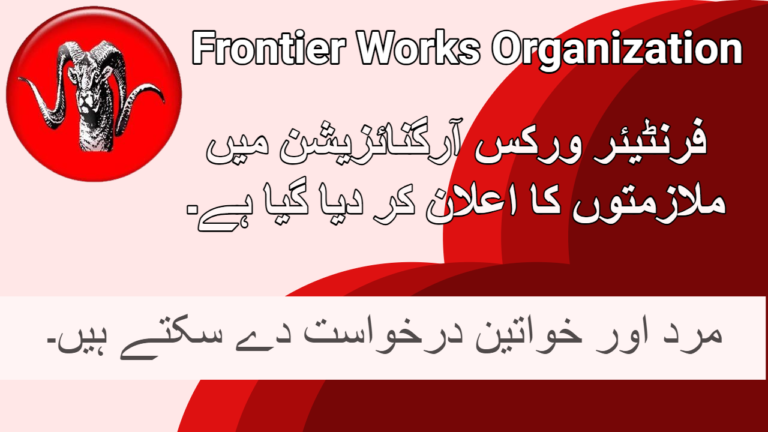 Frontier Works Organization Jobs February 2024