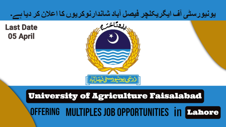 University of Agriculture Faisalabad UAF Jobs In March 2024