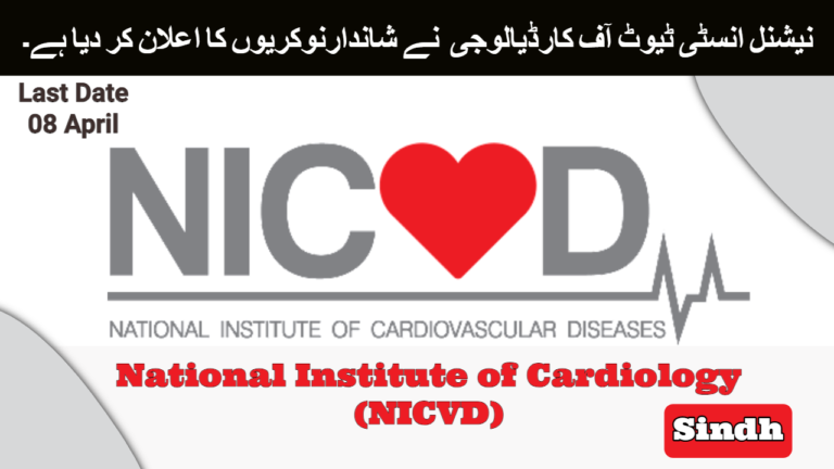 National Institute of Cardiology (NICVD) Jobs Sindh 2024 | Latest Advertisement