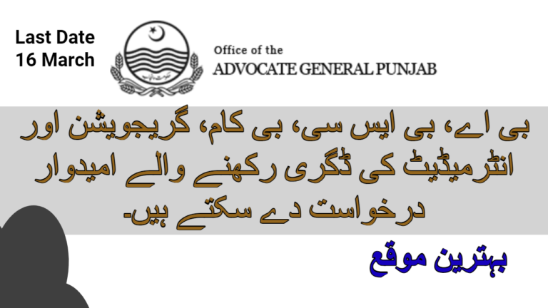 Advocate General Punjab Office Jobs 2024 | Best Opportunity