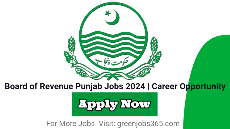 Board of Revenue Punjab Jobs 2024 | Career Opportunity