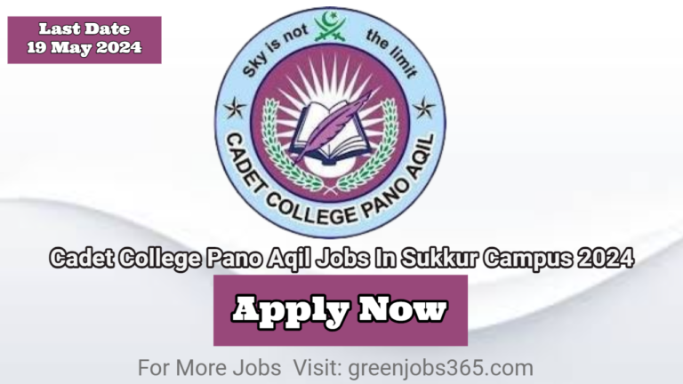 Cadet College Pano Aqil Jobs In Sukkur Campus 2024