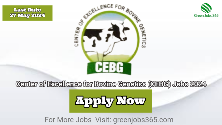 Center of Excellence for Bovine Genetics (CEBG) Jobs 2024