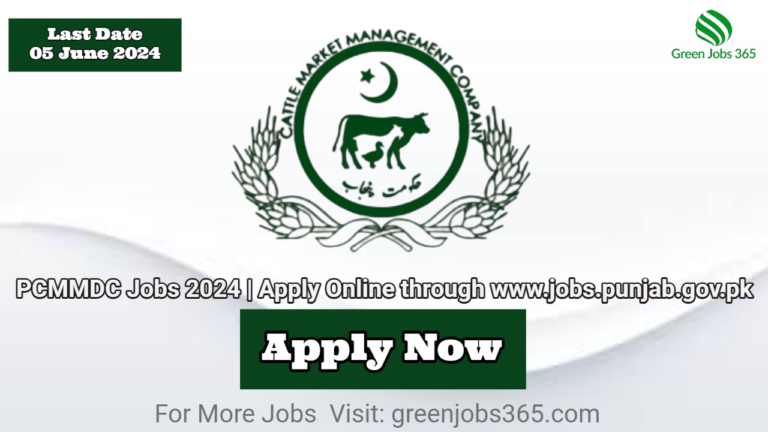 PCMMDC Jobs 2024 | Apply Online through www.jobs.punjab.gov.pk