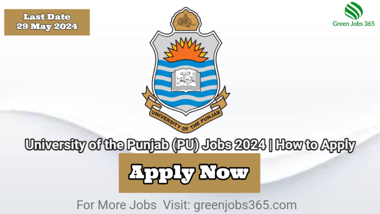 University of the Punjab (PU) Jobs 2024 | How to Apply