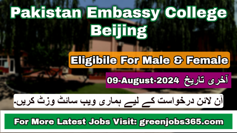 Latest PECB Jobs In Islamabad August 2024 - Pakistan Embassy College Beijing