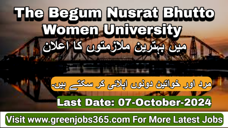 Latest BNBWU Jobs in Sukkar October 2024 - The Begum Nusrat Bhutto Women University